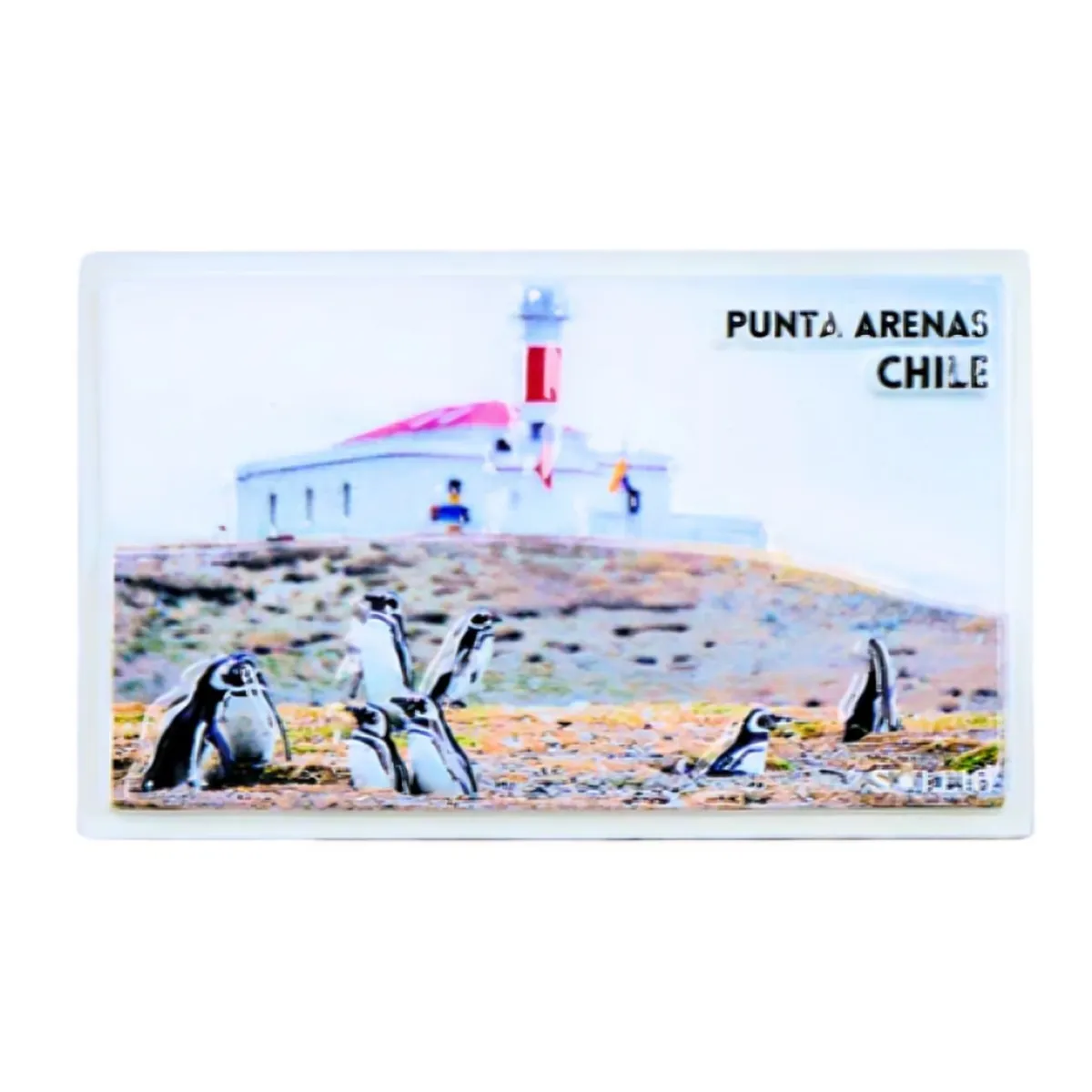 OEM - Pack 4 Imán Resina 3D Punta Arenas