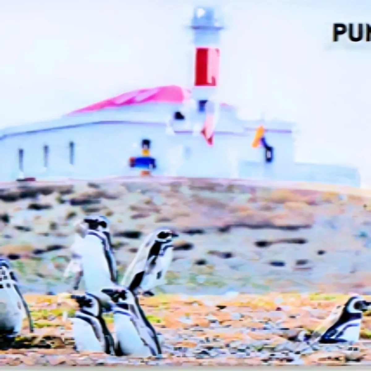 OEM - Pack 4 Imán Resina 3D Punta Arenas