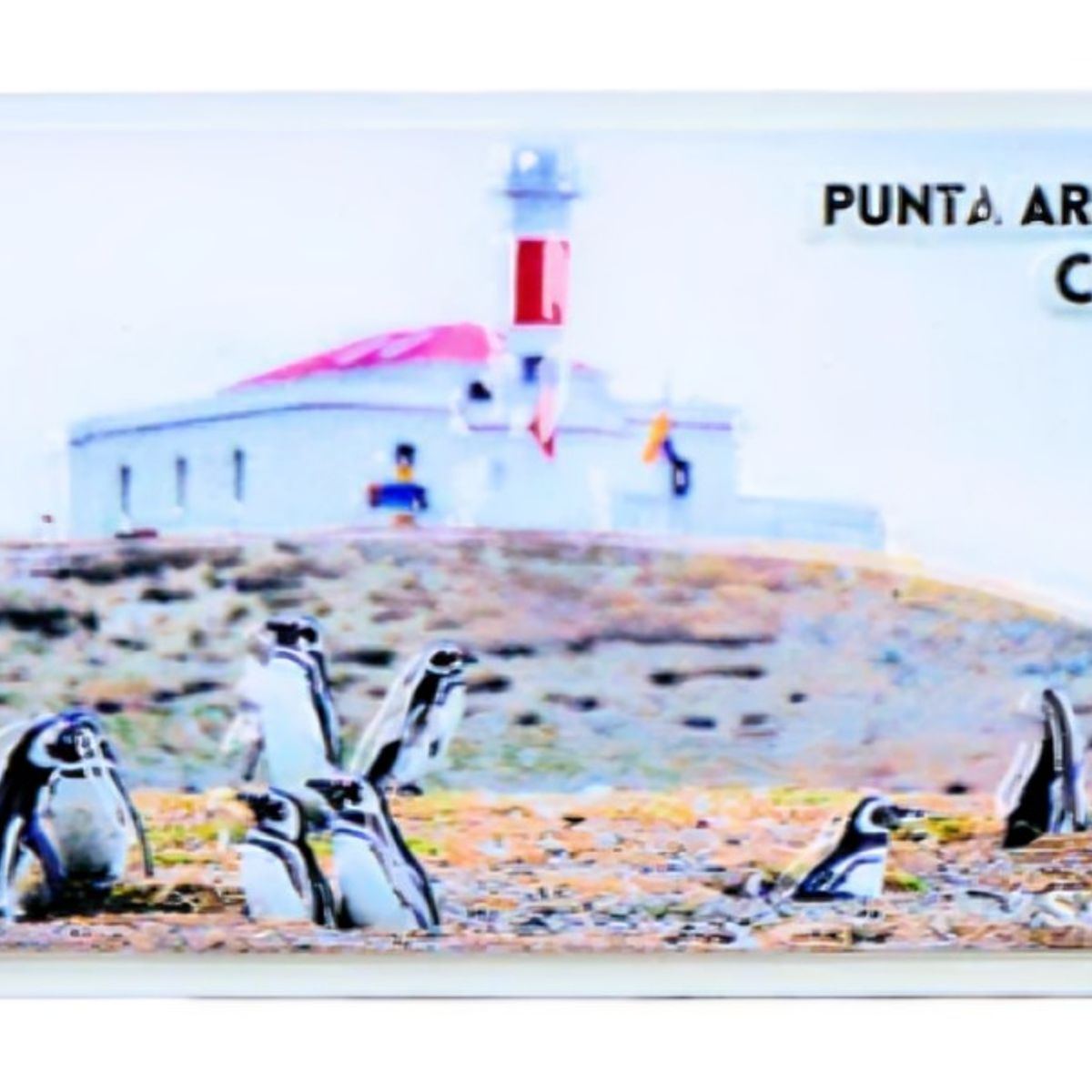 OEM - Pack 4 Imán Resina 3D Punta Arenas