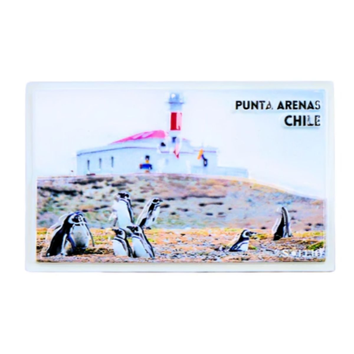 OEM - Pack 4 Imán Resina 3D Punta Arenas