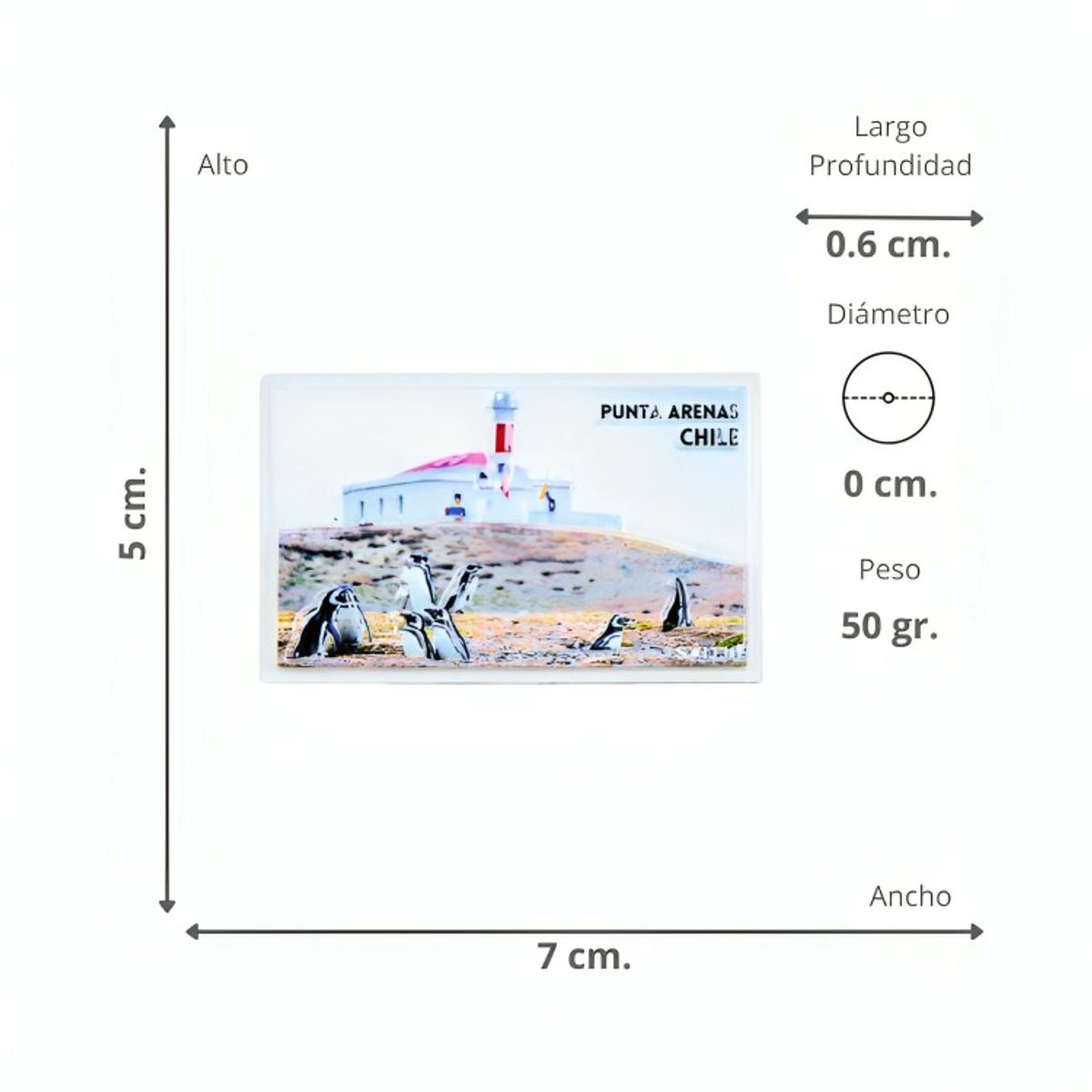 OEM - Pack 4 Imán Resina 3D Punta Arenas