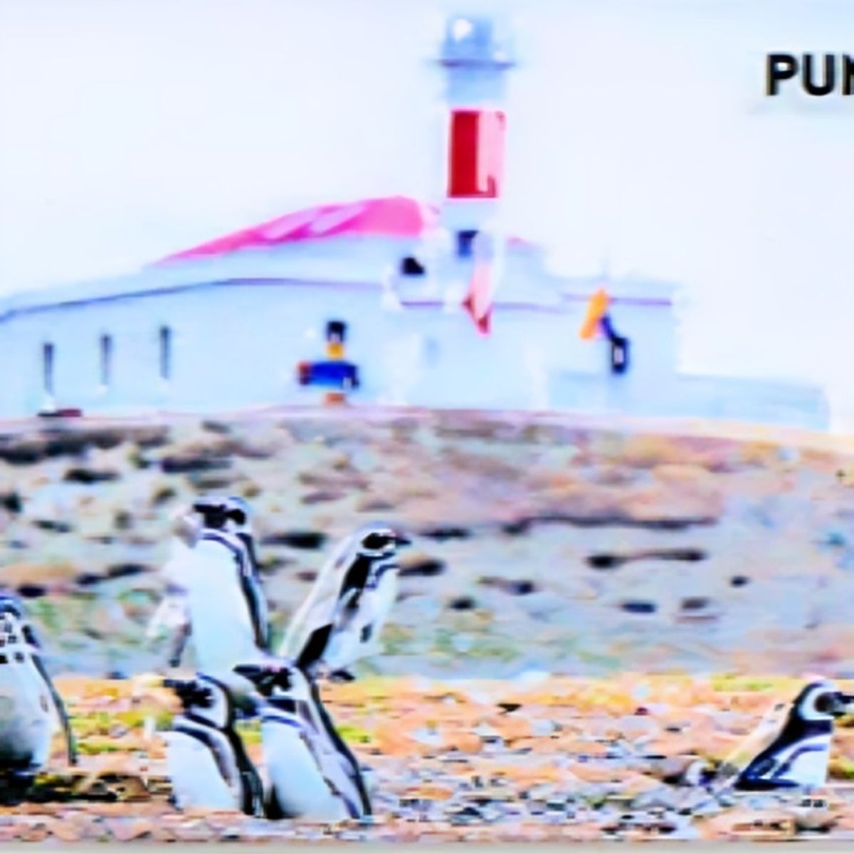 OEM - Pack 4 Imán Resina 3D Valparaíso