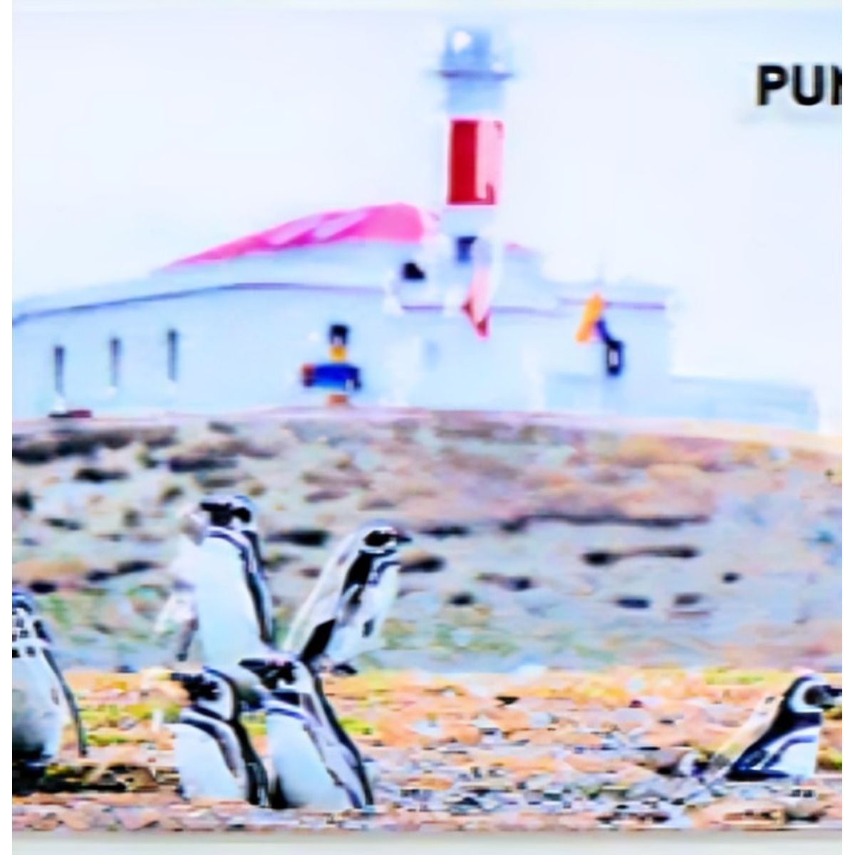 OEM - Pack 4 Imán Resina 3D Valparaíso