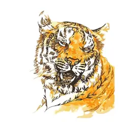 GENERICO - Kit Diamond Painting Pintura Diamantes 5d tigre