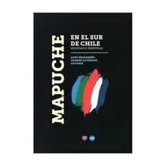 ANTARTICA LIBROS - Mapuche En El Sur De Chile. Sociedad E Identidad