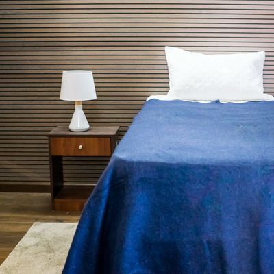 Imagen 2 del producto Frazada Térmica Lisa Azul1,5 plazas 450g/m2 - Textil