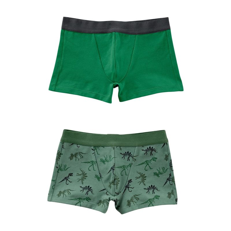 LEO - Paquete X 2 Bóxers Leo en Algodón Para Niños 33155X2 Verde / Estampado