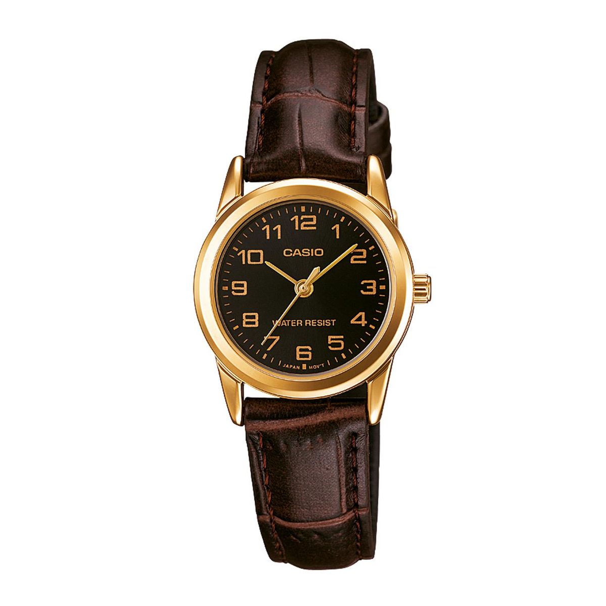CASIO - Reloj Mujer CASIO LTP-V001GL-1BUDF
