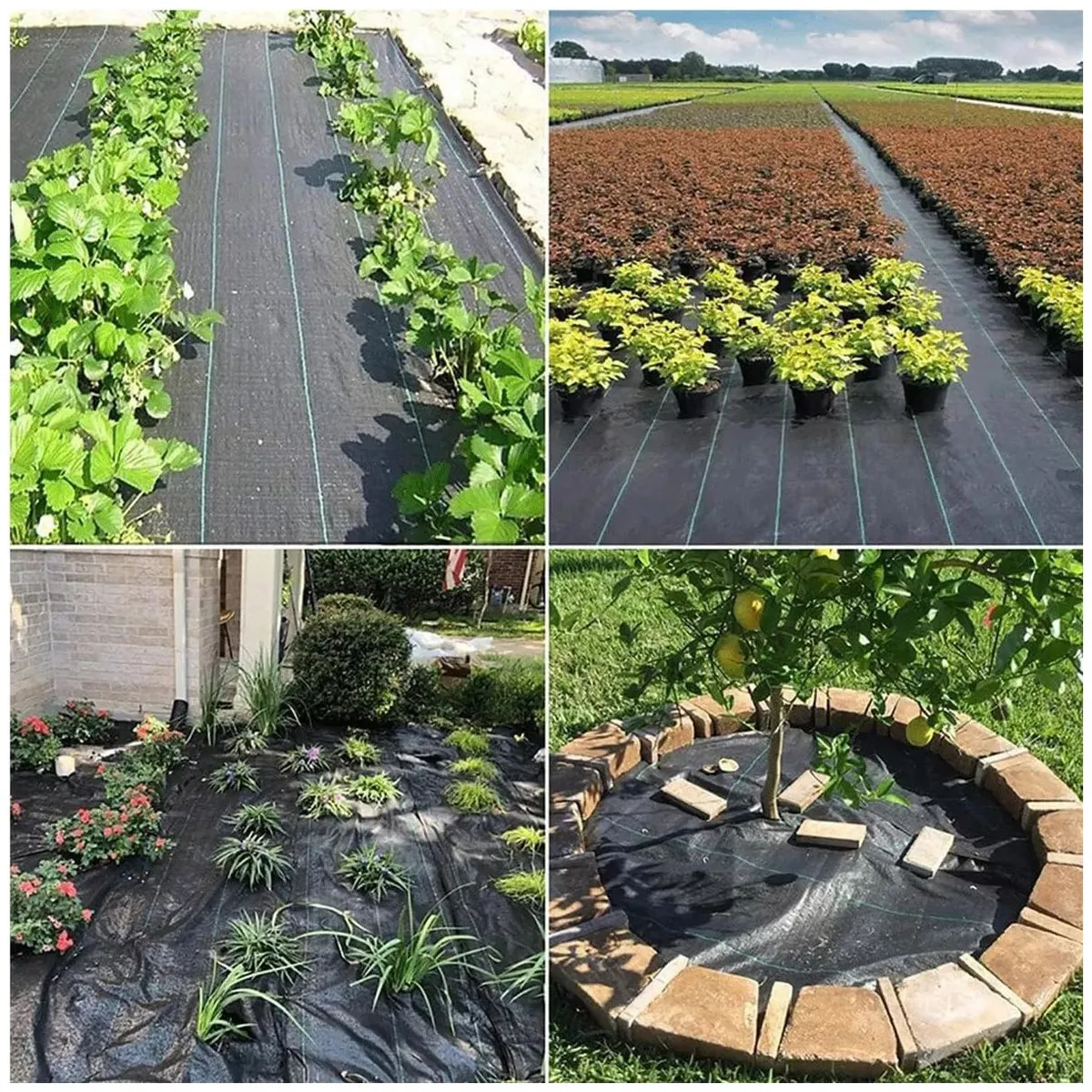 KUANGYE - Rollo de Malla Antimaleza 100m x 1m de Ancho Negro