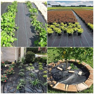 Imagen 2 del producto Rollo de Malla Antimaleza 100m x 1m de Ancho Negro