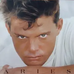 WARNER MUSIC - VINILO LUIS MIGUEL ARIES 1LP