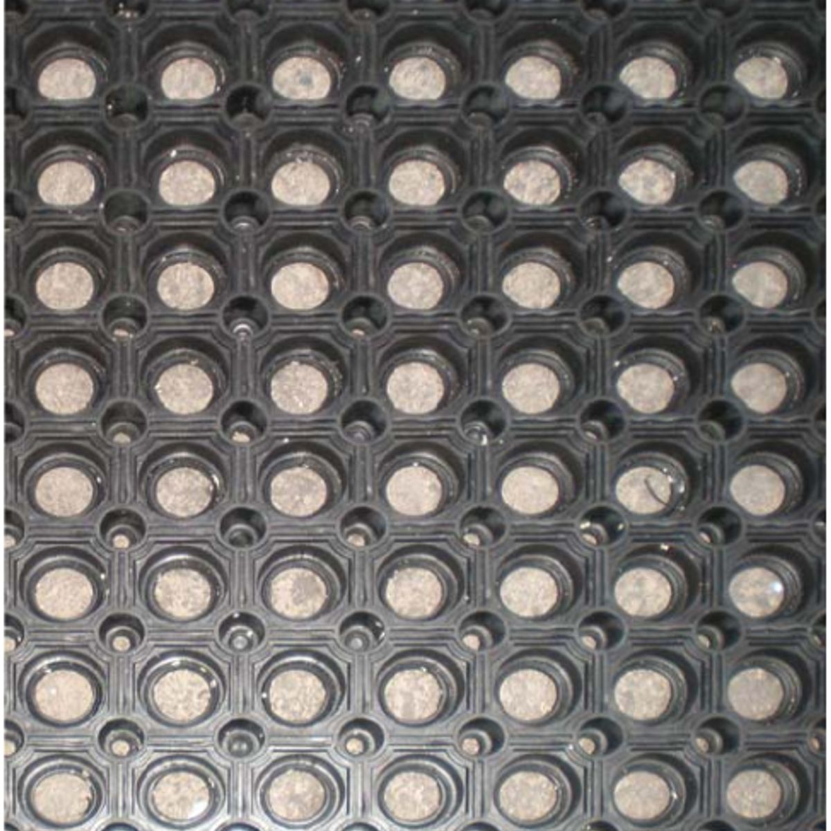 QRUBBER - Piso Antifatiga con Orificios 150cmx100cm x20mm Qrubber