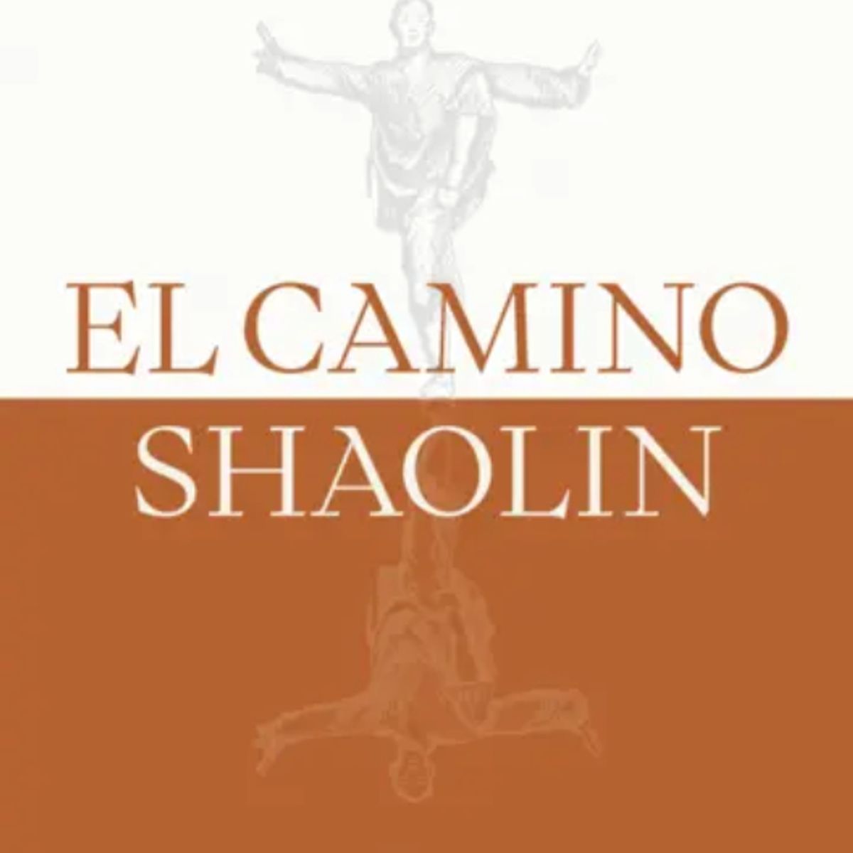 TEMAS DE HOY - Libro El camino shaolin - Shi Heng Yi