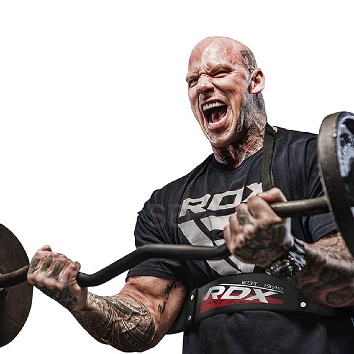 RDX - Arm Blaster Bicep Bomper ABI-X1B