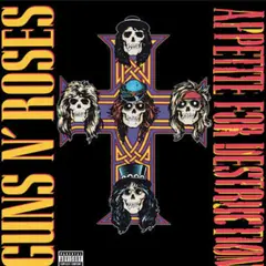 GRUPO LASER DISC - VINILO GUNS N ROSES APPETITE FOR DESTRUCTION 1LP