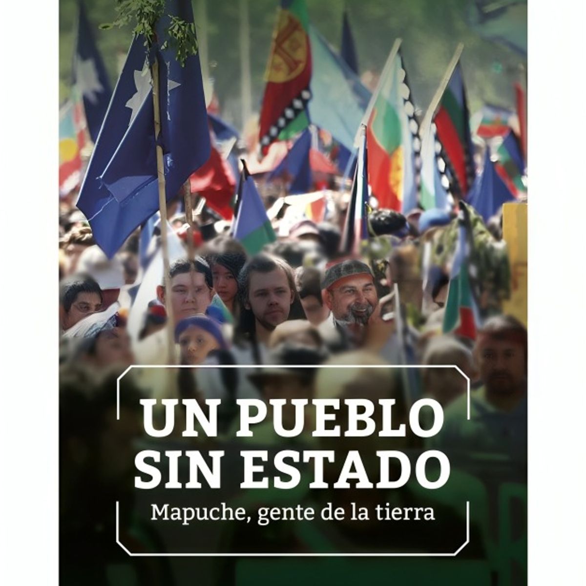 TOP10BOOKS - LIBRO Un Pueblo s i n Estado. Mapuche, Gente De La Tierra