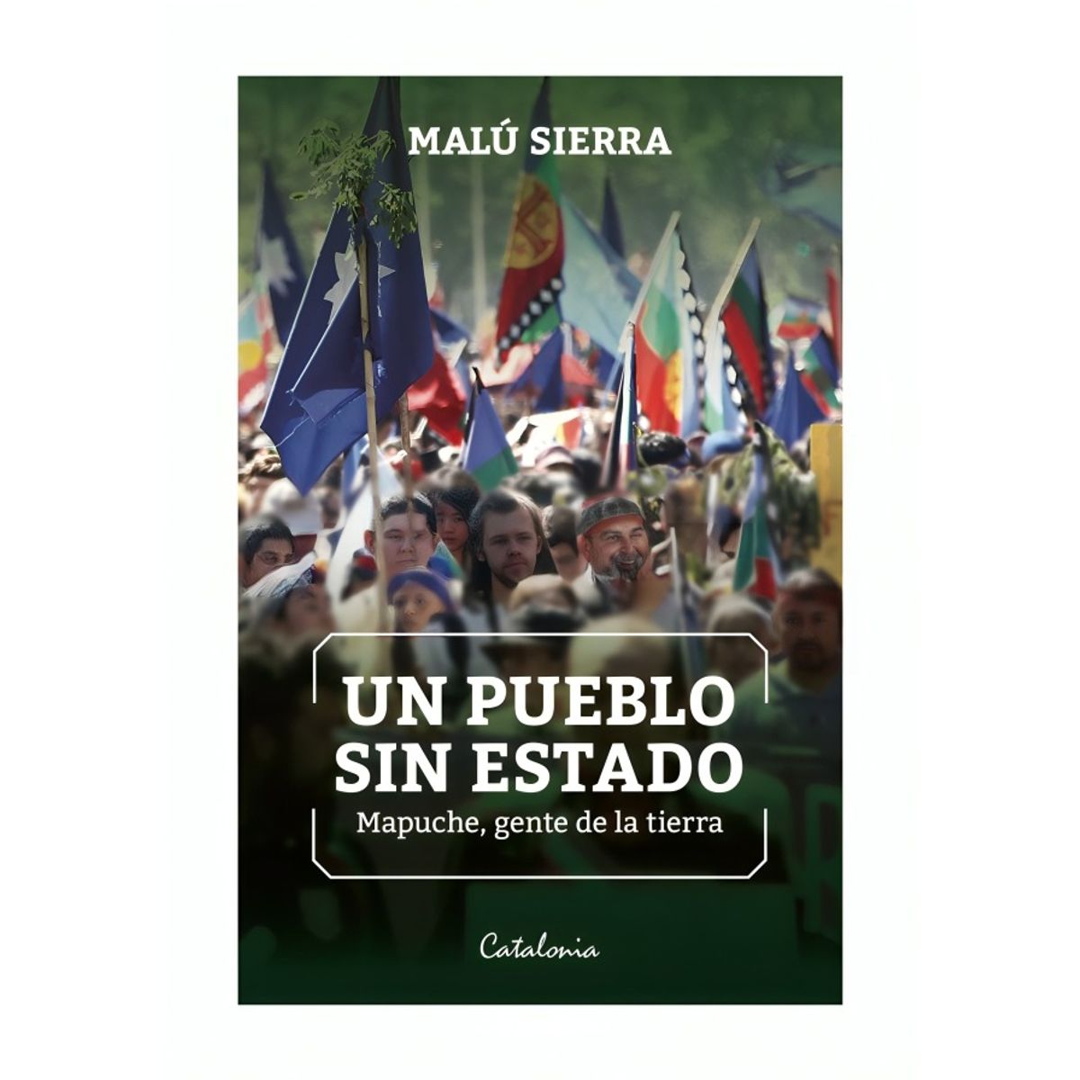 TOP10BOOKS - LIBRO Un Pueblo s i n Estado. Mapuche, Gente De La Tierra