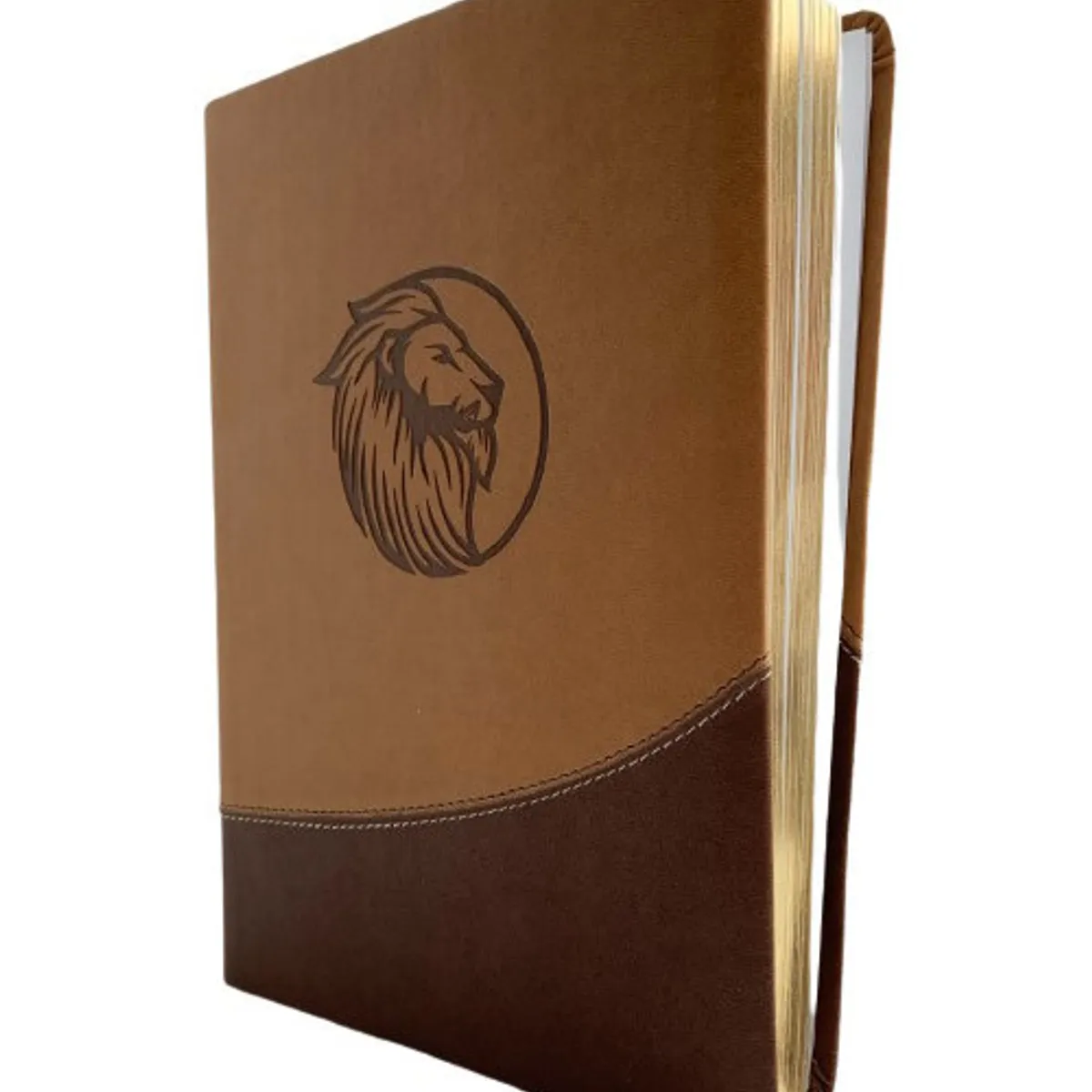 SOCIEDAD BIBLICA CHILENA - Biblia Reina Valera 1960 Letra gigante beige café