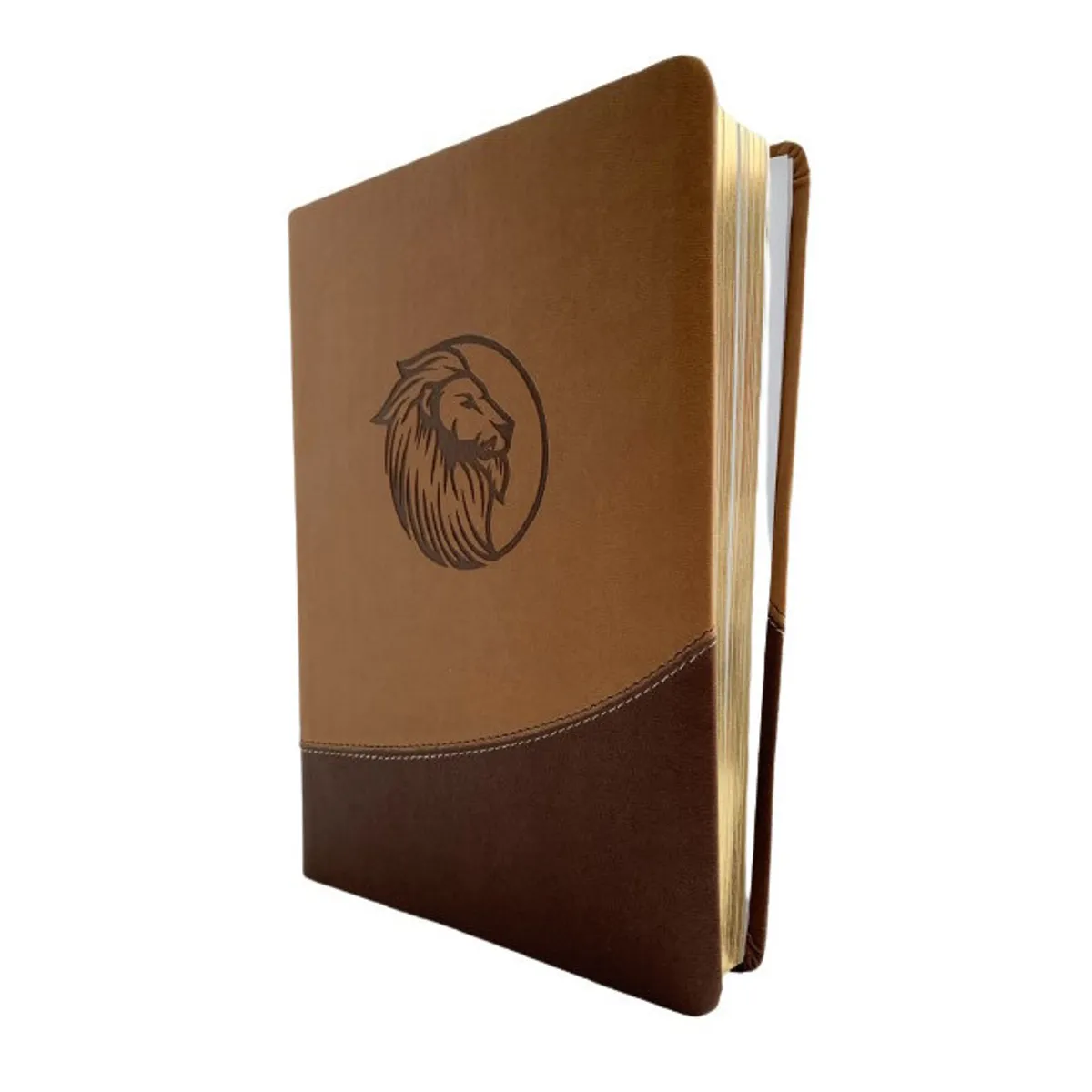 SOCIEDAD BIBLICA CHILENA - Biblia Reina Valera 1960 Letra gigante beige café