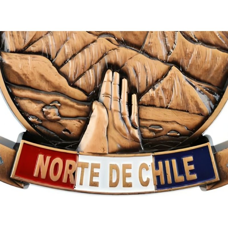 OEM - Pack 4 Iman color cobre Norte de Chile