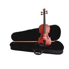 GENERICO - VIOLIN 4/4 ART 14757 PAULMANN