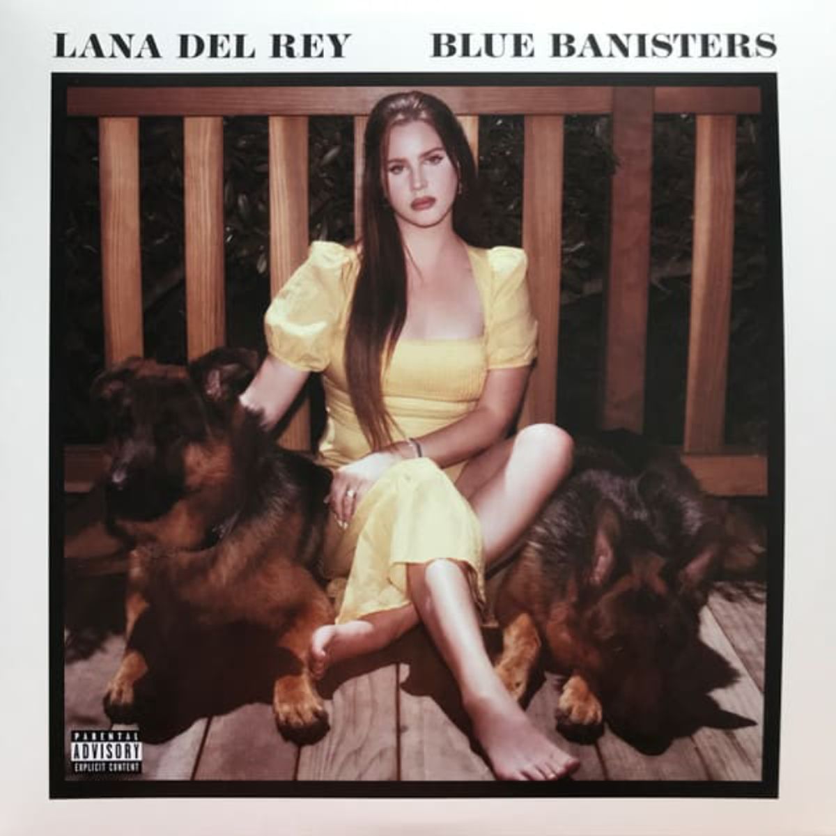 GRUPO LASER DISC - VINILO LANA DEL REY BLUE BANISTERS 2LP