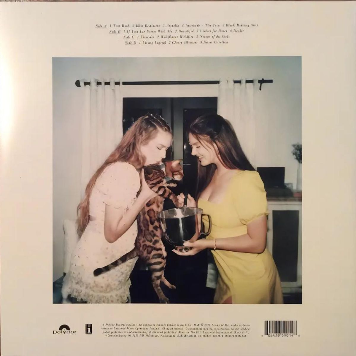 GRUPO LASER DISC - VINILO LANA DEL REY BLUE BANISTERS 2LP