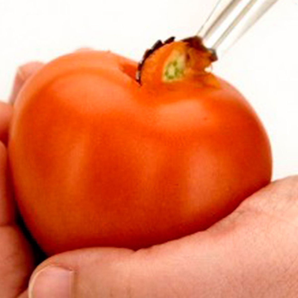 GENERICO - Descorazonador de Tomate 12 Pcs