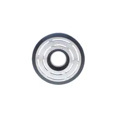 AMERICAN AIR - Polea con Rodamiento SD7H15 7PK 119MM SD4645