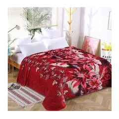 GENERICO - Manta Frazada Extra Grande 200240cm Suave Polar