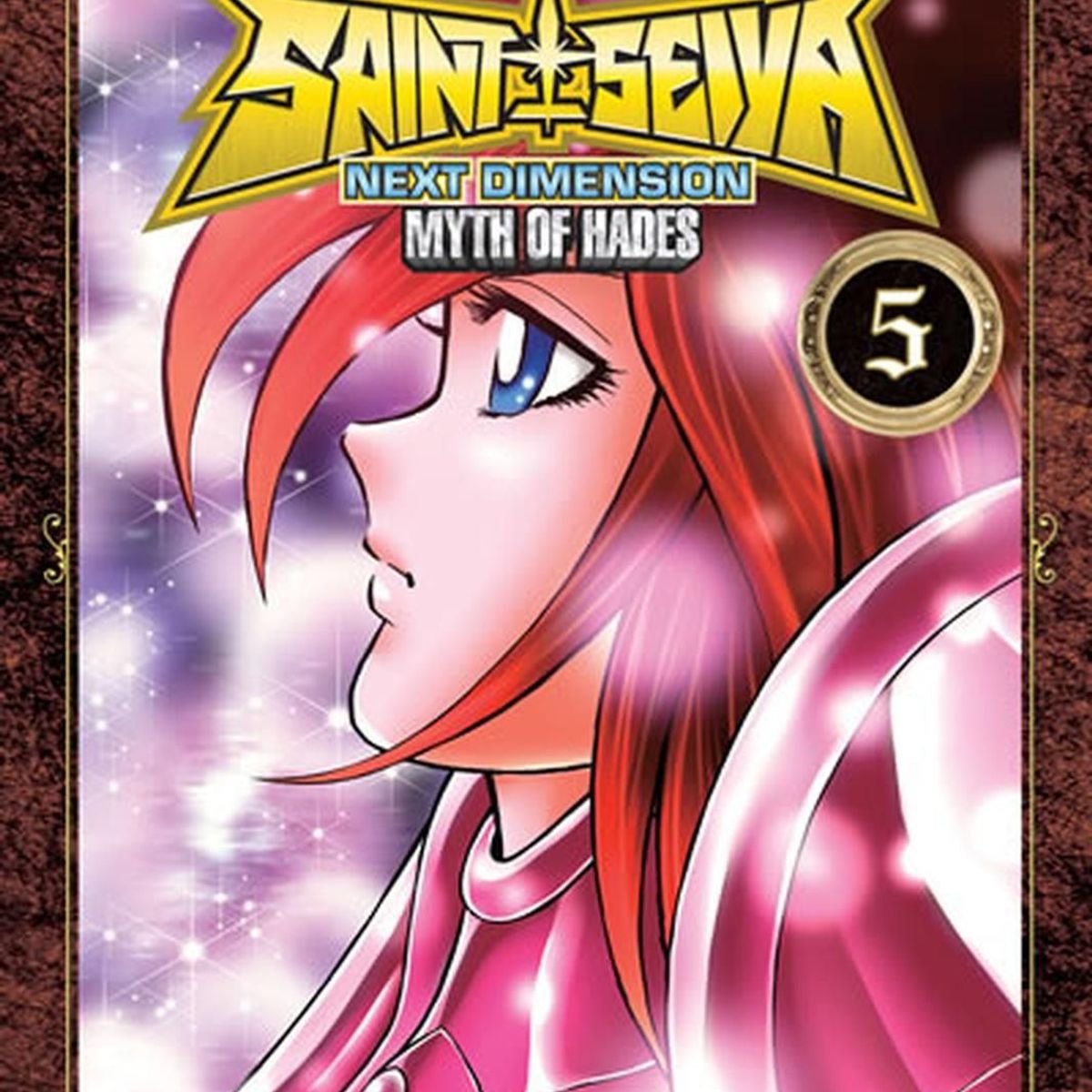 IVREA - Manga Saint Seiya Next Dimension 05 Ivrea Argentina