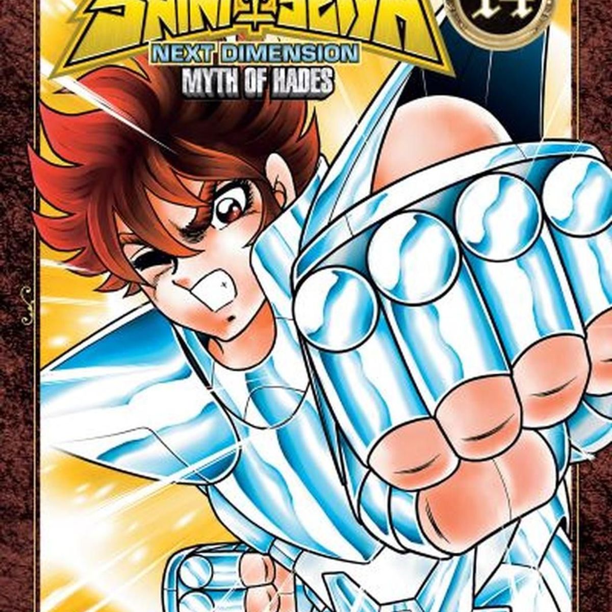 IVREA - Manga Saint Seiya Next Dimension 14 Ivrea Argentina