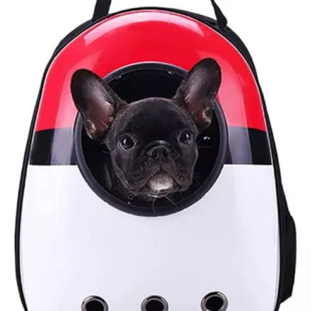 GENERICO - Mochila Bolso Ojo Transparente Mascota Perro Gato