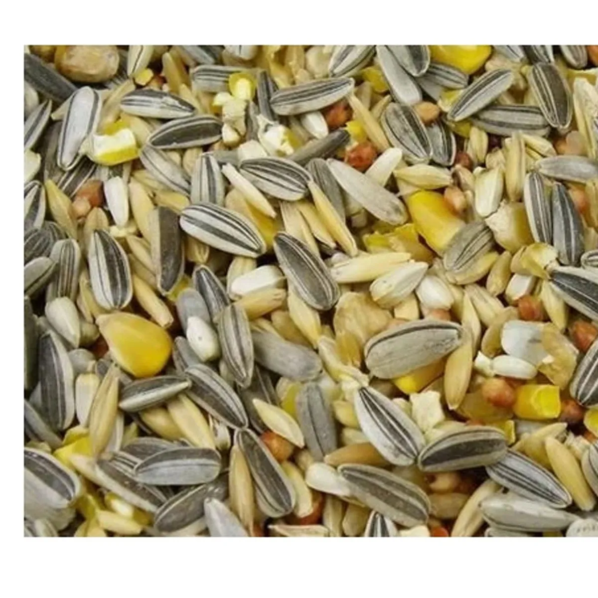 GENERICO - Alimento Semillas Loros Nifa Cacatua Mp001,   500gr