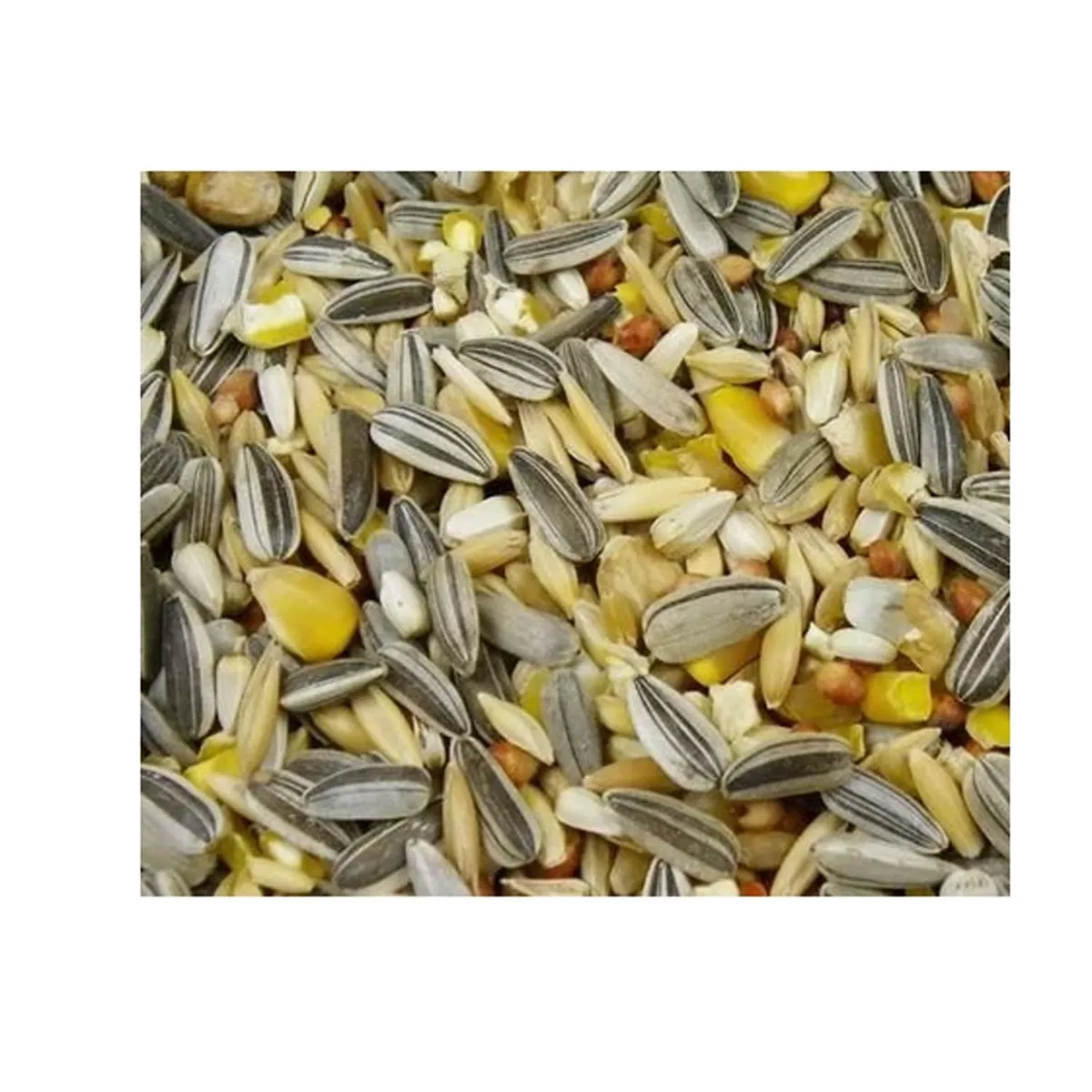 GENERICO - Alimento Semillas Loros Nifa Cacatua Mp001,   500gr