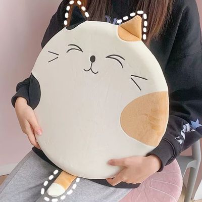 Imagen 2 del producto Cojín Ortopedico Lumbar Asiento de Gato