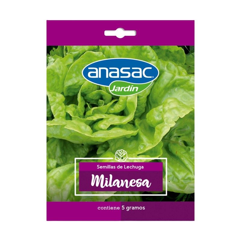 ANASAC - Semilla Lechuga Milanesa 5 Gr Anasac