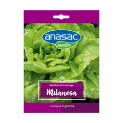 ANASAC - Semilla Lechuga Milanesa 5 Gr