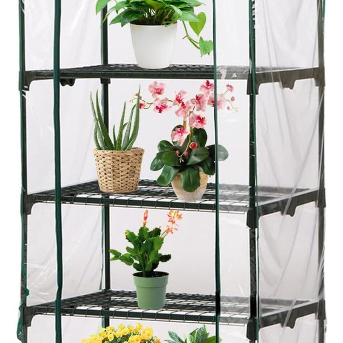 IMPORTCLICK - Mini Invernadero 4 Niveles 156x59x156 CM - Verde Arlequín