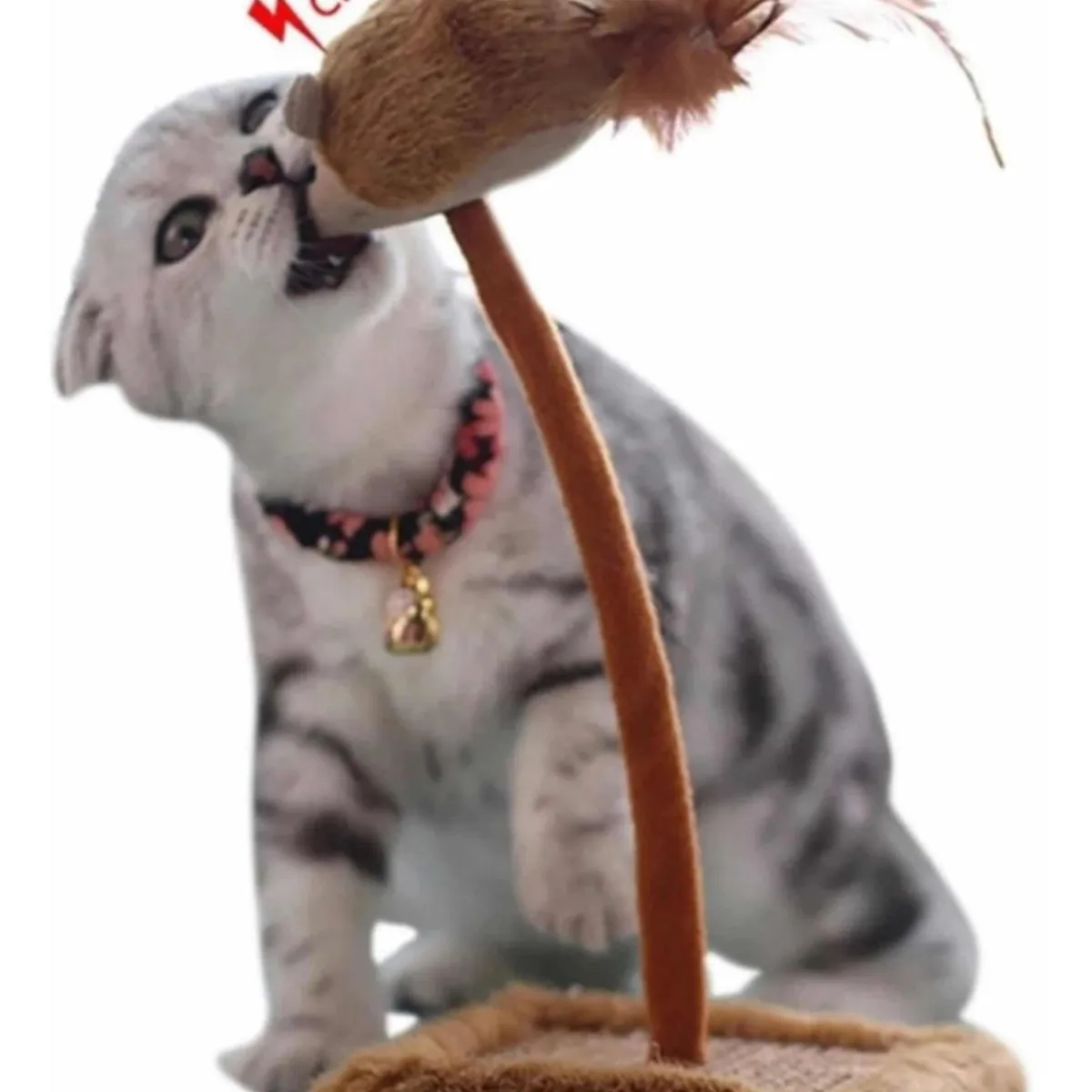 GENERICO - Juguete Interactivo Para Gatos Con Sonido Animales Cafe