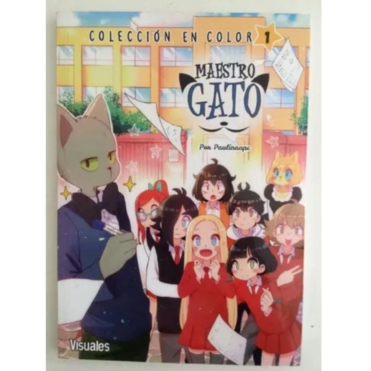 VISUALES - Maestro Gato 1 - A Color