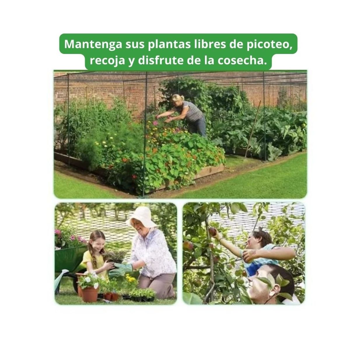 GENERICO - Malla Red Antipájaros Para Protección De Jardines Malla De Jardín