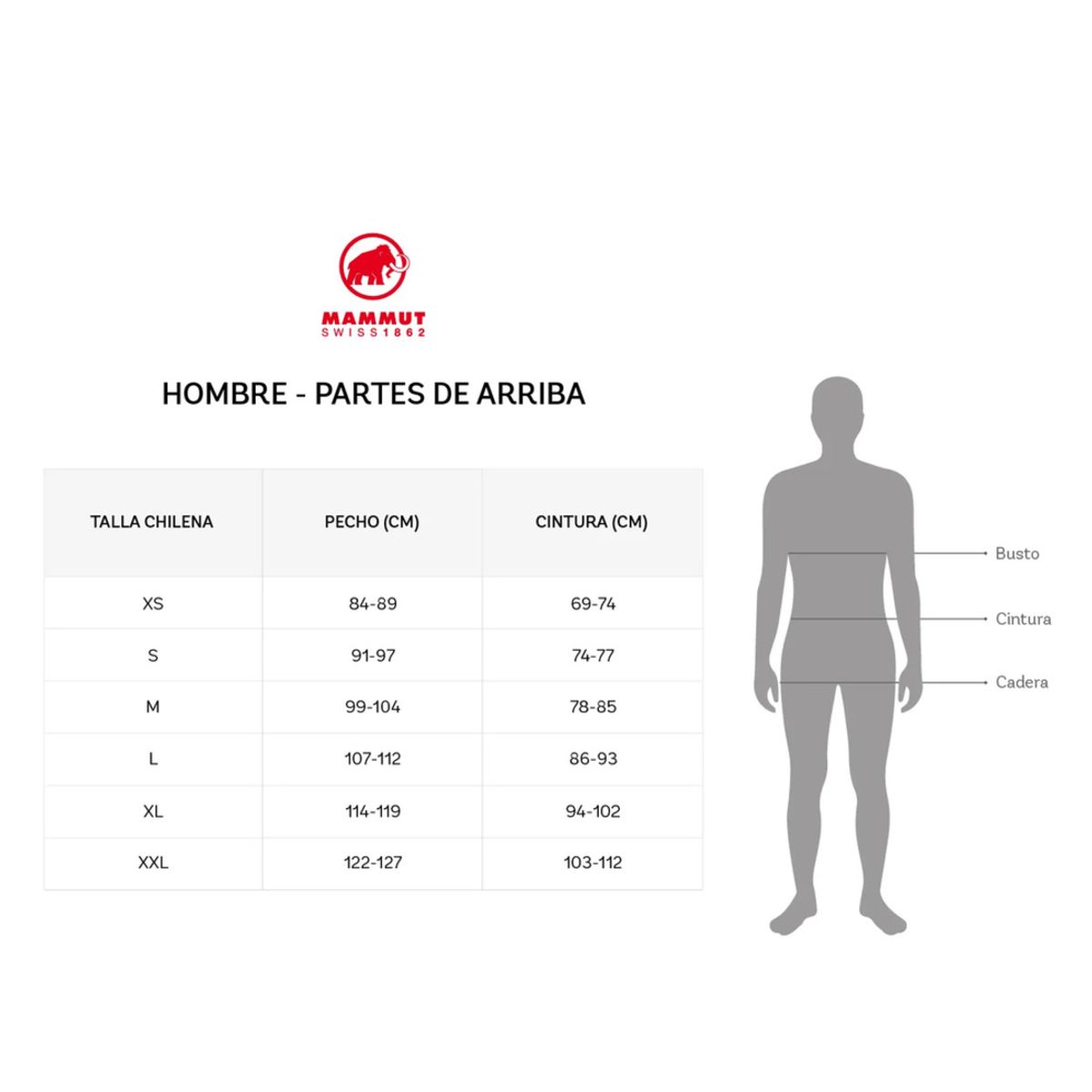 MAMMUT - Polera Classic Hombre Verde