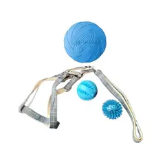 GENERICO - Set Árnes y Correa talla S, Frisbee 2 Pelotas Perro Mascotas