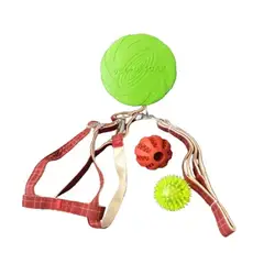 GENERICO - Set Árnes y Correa talla S, Frisbee 2 Pelotas Perro Mascotas