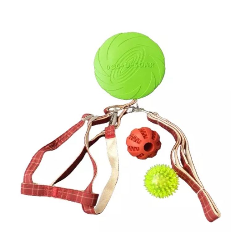GENERICO - Set Árnes y Correa talla L, Frisbee 2 Pelotas Perro Mascotas