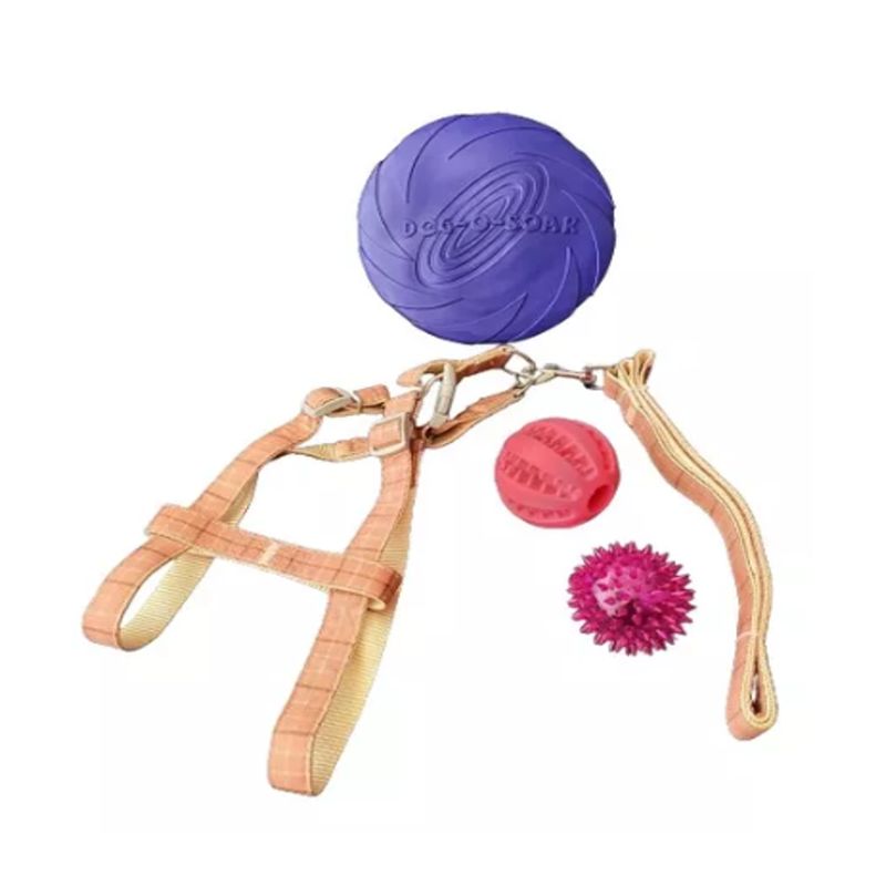 GENERICO - Set Árnes y Correa talla L, Frisbee 2 Pelotas Perro Mascotas