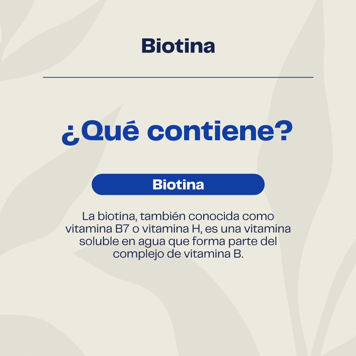 KARUNLIFE - Biotina 150mcg 60 Cápsulas - Uñas Piel Cabello - Karunlife