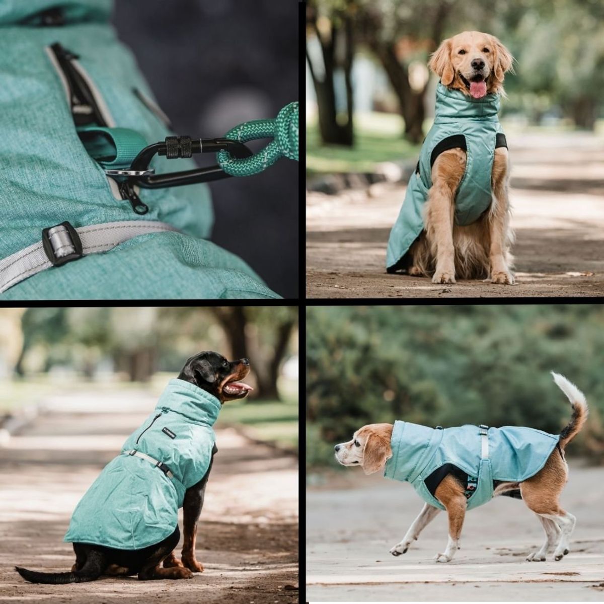 PETLOUNGE - Parka Impermeable Térmica Para Perros - Menta - Talla S