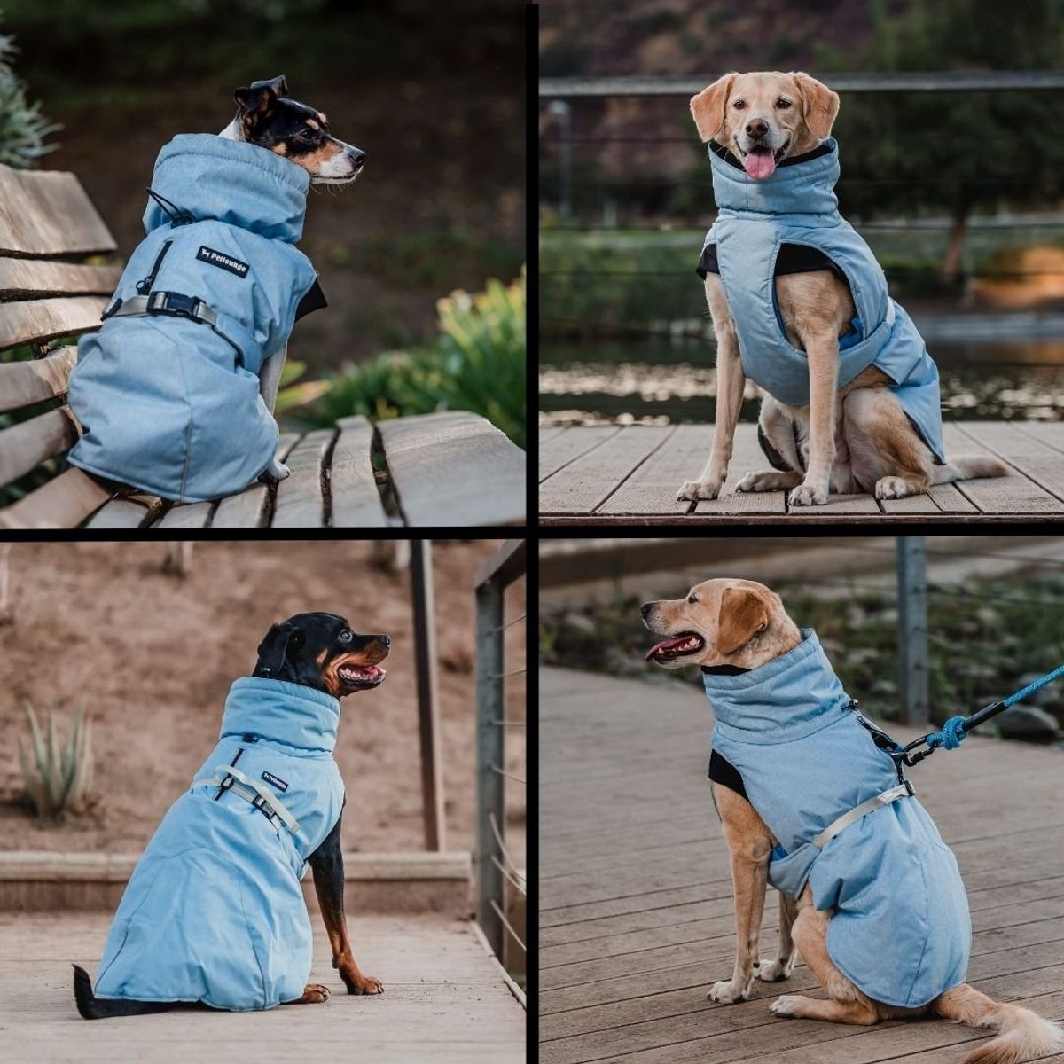 PETLOUNGE - Parka Impermeable Térmica Para Perros - Celeste - Talla XL